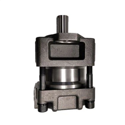 Sumitomo QT52-63F-BP-Z Вътрешна серво помпа Зъбна помпа QT52 за машина за леене под налягане